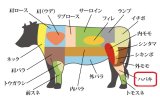 画像: 短角牛　ハバキ 1Kgブロック